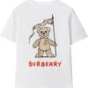 Burberry Kids Cedar Bear Flag T-Shirt (Toddler/Little Kid/Big Kid) | Shirts & Tops