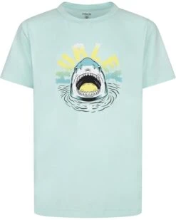 Hurley Kids Shark Peep Graphic UPF T-Shirt (Little Kid) | Shirts & Tops
