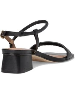 Bernardo Josei | Heels -Shoe Vogue Shop 61cWCI4dr2L. AC SR736920