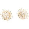 Lilly Pulitzer Tidepool Treasures Pearl | Earrings -Shoe Vogue Shop 61ctDaglthL. AC SR736920