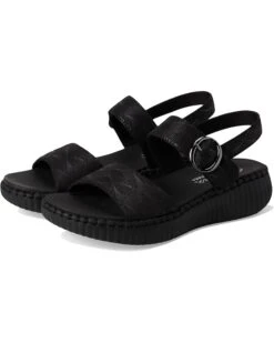 SKECHERS Wilshire Boulevard - Illusion Of Love | Heels