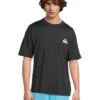 Quiksilver Everyday Surf Tee Shorts Sleeve Surf Tee | Swimwear -Shoe Vogue Shop 61wT5GZyrhL. AC SR736920