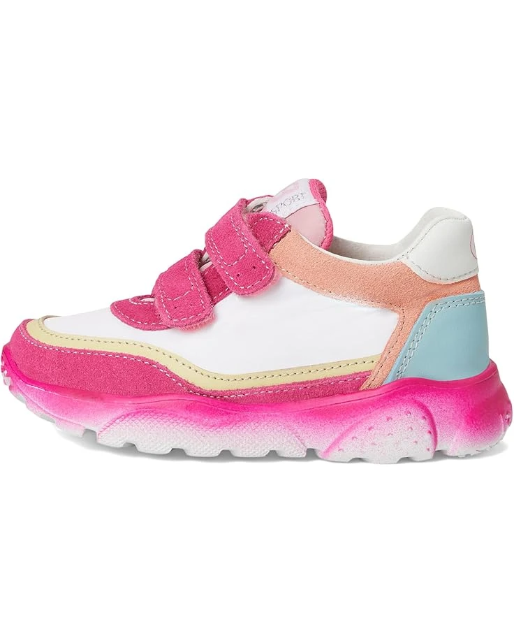 Naturino Falcotto Amantea 2 VL (Toddler/Litte Kid) | Sneakers & Athletic Shoes 6 Naturino Falcotto Amantea 2 VL (Toddler/Litte Kid) | Sneakers & Athletic Shoes - Image 4