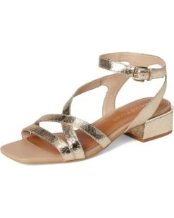 Donald Pliner Frannie | Heels -Shoe Vogue Shop 715P60FJZKL. AC SR736920
