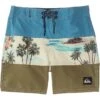 Quiksilver Kids Everyday Panel (Little Kids) | Shorts -Shoe Vogue Shop 71EwAwQ LuL. AC SR736920