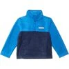 Columbia Kids Steens Mountain™ II 1/4 Snap Fleece Pullover (Little Kid/Big Kid) | Shirts & Tops