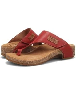 Taos Footwear Loop | Sandals -Shoe Vogue Shop 71b7mHgwSHL. AC SR736920