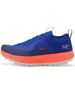 Arc'teryx Sylan GTX | Sneakers & Athletic Shoes -Shoe Vogue Shop 71ujKdkiH9L. AC SR736920