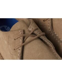 Birkenstock Utti Lace Up - Suede | Loafers -Shoe Vogue Shop 818DNjZzmkL. AC SR736920