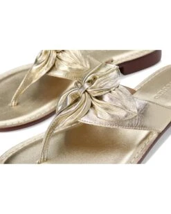 Bernardo Taormina | Heels -Shoe Vogue Shop 81REIzPxorL. AC SR736920