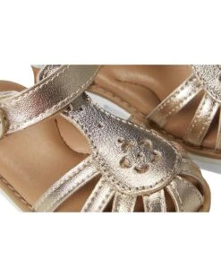 Stride Rite SR Renee (Toddler/Little Kid) | Sandals 14 Stride Rite SR Renee (Toddler/Little Kid) | Sandals -Shoe Vogue Shop 81TGK3RPd6L. AC SR736920