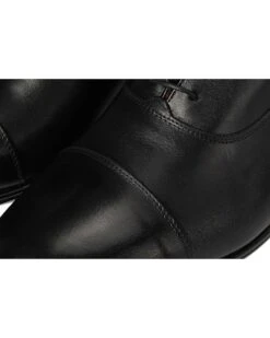 Bruno Magli Adriano | Oxfords -Shoe Vogue Shop 81kn nCJRgL. AC SR736920