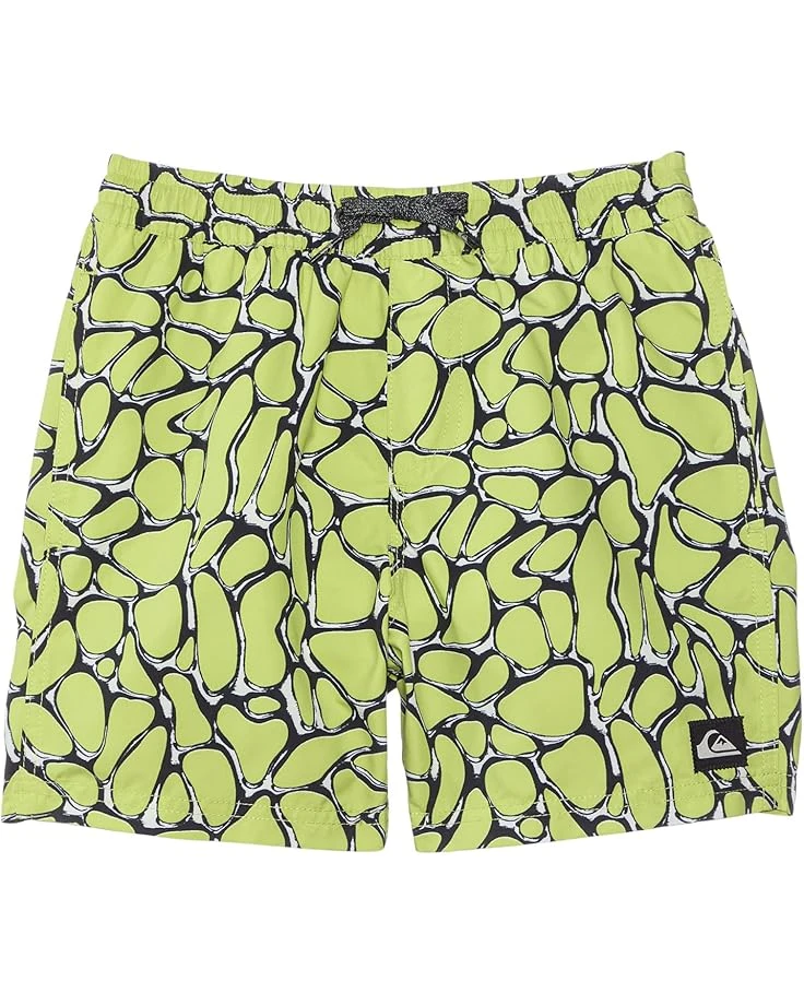 Quiksilver Kids Everyday Mercury Volley (Big Kids) | Shorts 3 Quiksilver Kids Everyday Mercury Volley (Big Kids) | Shorts