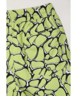 Quiksilver Kids Everyday Mercury Volley (Big Kids) | Shorts 5 Quiksilver Kids Everyday Mercury Volley (Big Kids) | Shorts -Shoe Vogue Shop 81uG23BkwTL. AC SR736920